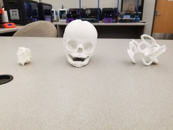 Small 3D printed skull.